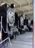 DSC04946.jpg